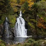 Living Timeless- Black Forest Style- Апартаменты *