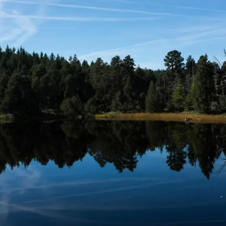 Living Timeless- Black Forest Style-