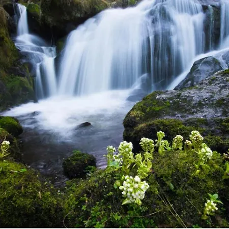 Living Timeless- Black Forest Style- * Schönwalde