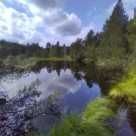 Living Timeless- Black Forest Style-