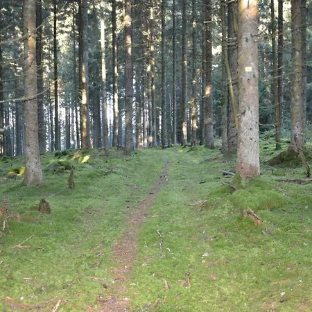 Living Timeless- Black Forest Style- *