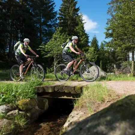 Living Timeless- Black Forest Style- Apartament Schönwalde