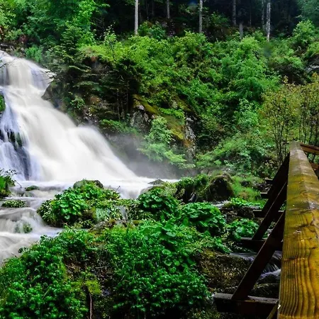 Apartamento Living Timeless- Black Forest Style- Schönwalde