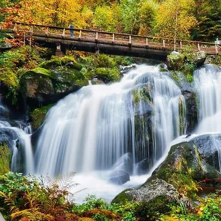 Living Timeless- Black Forest Style- Apartamento Schönwalde