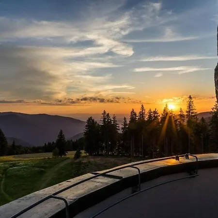 Living Timeless- Black Forest Style- Schönwalde