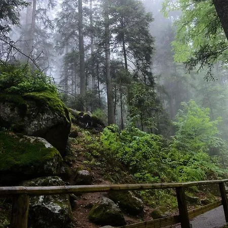 Apartamento Living Timeless- Black Forest Style-