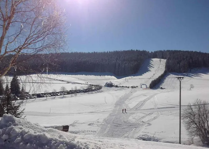 Living Timeless- Black Forest Style- Apartment