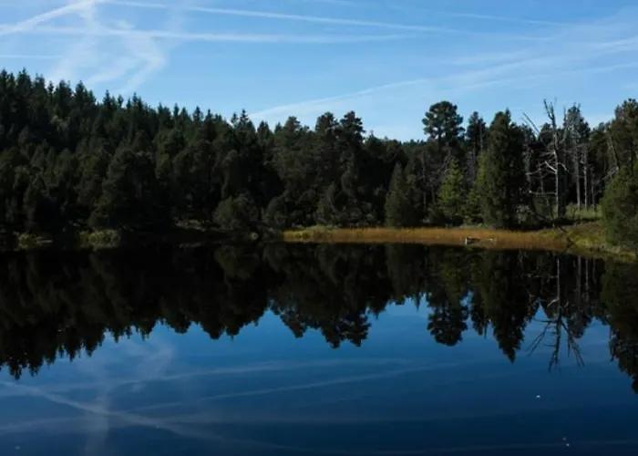 Living Timeless- Black Forest Style-